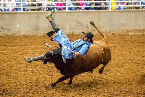 Rodeos close to me - Experience Over 60 Years of Tradition: Folsom Pro Rodeo - Where Family Fun Meets Western Excitement! 916-985-2698. 200 wool st., Folsom, CA 95630.